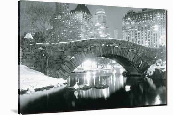 Winter in Central Park-null-Stretched Canvas