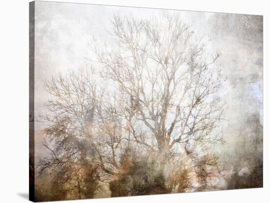 Winter In Champagne-Golie Miamee-Stretched Canvas