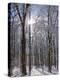 Winter in Eagle Creek Park, Indianapolis, Indiana, USA-Anna Miller-Premier Image Canvas