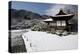 Winter in Okochi-sanso villa, Kyoto, Japan, Asia-Damien Douxchamps-Premier Image Canvas