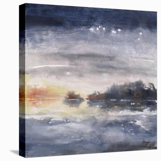 Winter Islands III-Farrell Douglass-Premier Image Canvas