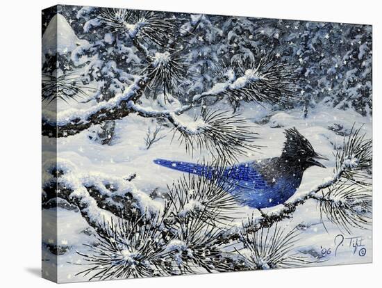 Winter Jay-Jeff Tift-Premier Image Canvas