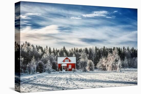 Winter Kingdom-Philippe Sainte-Laudy-Premier Image Canvas