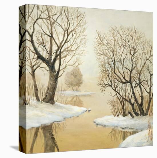Winter Lake Square-Arnie Fisk-Stretched Canvas