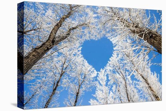 Winter Landscape,Branches Form a Heart-Shaped Pattern-06photo-Premier Image Canvas