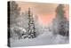 Winter Landscape in Lapland-udvarhazi-Premier Image Canvas