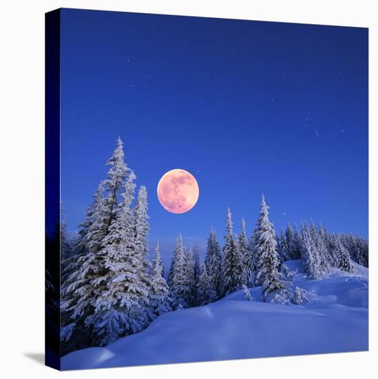 Winter Landscape in the Mountains at Night. A Full Moon and a Starry Sky. Carpathians, Ukraine-Kotenko-Premier Image Canvas