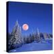 Winter Landscape in the Mountains at Night. A Full Moon and a Starry Sky. Carpathians, Ukraine-Kotenko-Premier Image Canvas