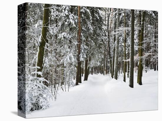 Winter Landscape, Near Koenigsfeld, Black Forest, Baden-Wutttemberg, Germany, Europe-Jochen Schlenker-Premier Image Canvas