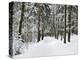 Winter Landscape, Near Koenigsfeld, Black Forest, Baden-Wutttemberg, Germany, Europe-Jochen Schlenker-Premier Image Canvas