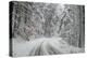 Winter Landscape near Passo Della Consuma-Guido Cozzi-Premier Image Canvas