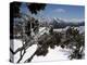 Winter Landscape of Mountains Seen Through Snow-Covered Tree Branches, High Country, Australia-Richard Nebesky-Premier Image Canvas