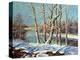 Winter Landscape On The Bank Of The River-balaikin2009-Stretched Canvas