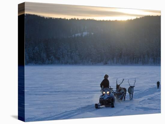 Winter Landscape, Reindeer and Snowmobile, Jokkmokk, Sweden-Peter Adams-Premier Image Canvas