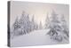 Winter Landscape, Trees, Snow-Covered Series, Nature, Vegetation-Roland T.-Premier Image Canvas