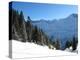 Winter Landscape (Winter in Swiss Alps)-swisshippo-Premier Image Canvas