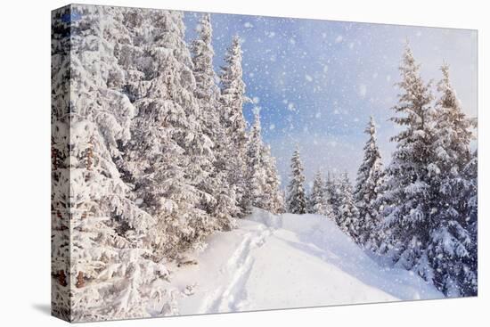 Winter Landscape with Snow Drifts and a Footpath in a Mountain Forest. Forest after a Snow Storm-Kotenko-Premier Image Canvas