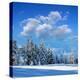 Winter Landscape with Snow in Mountains Carpathians, Ukraine-Kotenko-Premier Image Canvas