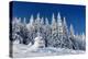 Winter Landscape with Snow in Mountains Carpathians, Ukraine-Kotenko-Premier Image Canvas