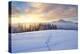 Winter Landscape with Sunrise in the Mountains, Path in the Snow, Carpathians, Ukraine, Europe-Kotenko-Premier Image Canvas