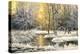 Winter Landscape With The Wood River-balaikin2009-Stretched Canvas