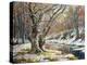 Winter Landscape With Wood And The River-balaikin2009-Stretched Canvas