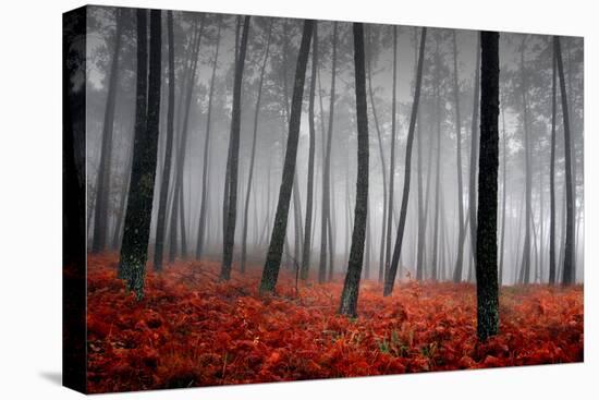 Winter Landscape-jpcasais-Premier Image Canvas