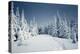 Winter Landscape-Kotenko-Premier Image Canvas