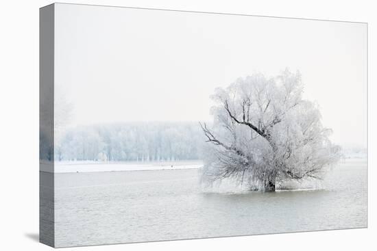 Winter Landscape-geanina bechea-Premier Image Canvas