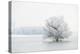 Winter Landscape-geanina bechea-Premier Image Canvas