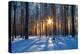 Winter Landscape-Yanika-Premier Image Canvas