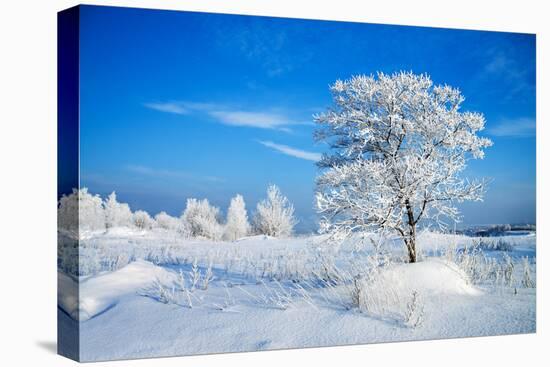 Winter Landscape-Yanika-Premier Image Canvas