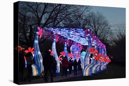 Winter Lantern Festival, Floral Passage, 2018-Anthony Butera-Premier Image Canvas