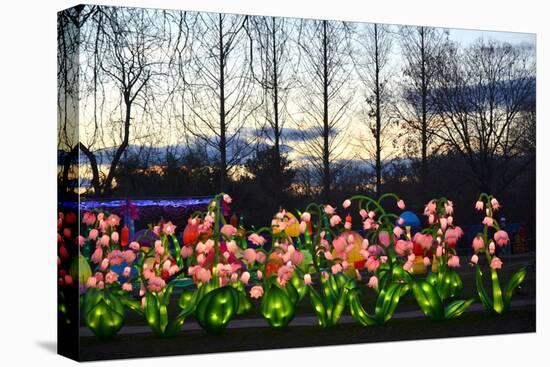 Winter Lantern Festival, Flowers, 2018-Anthony Butera-Premier Image Canvas