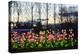 Winter Lantern Festival, Flowers, 2018-Anthony Butera-Premier Image Canvas