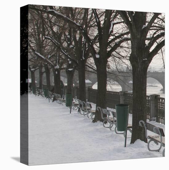 Winter Light I-Bill Philip-Stretched Canvas