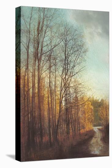 Winter Light I-Amy Melious-Stretched Canvas