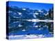 Winter Lodge in Sierra Nevada-Mick Roessler-Premier Image Canvas