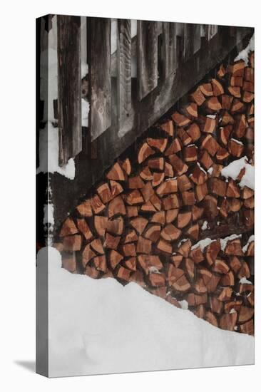 Winter Logs-Carina Okula-Stretched Canvas