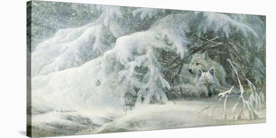 Winter Lullaby-Duane Geisness-Stretched Canvas