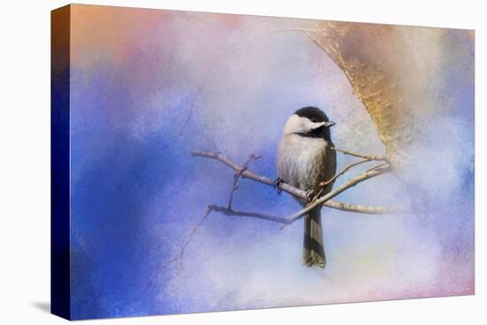 Winter Morning Chickadee-Jai Johnson-Premier Image Canvas