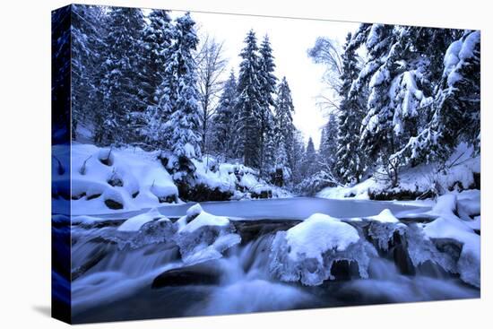 Winter Mountain River- Beskid Mountains, Poland-Gorilla-Premier Image Canvas