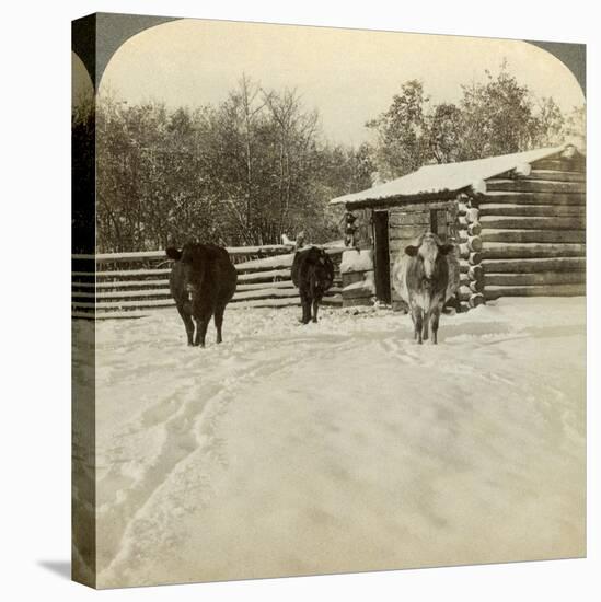 Winter on a Ranch, Montana, Usa-Underwood & Underwood-Premier Image Canvas