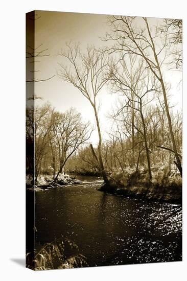 Winter on the Neuse River-Alan Hausenflock-Premier Image Canvas