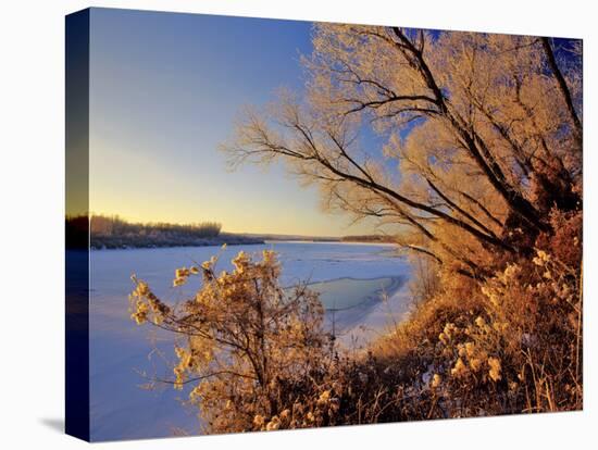 Winter on the Yellowstone River Near Cartwright, North Dakota, USA-Chuck Haney-Premier Image Canvas