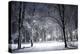 Winter Park in the Evening Covered with Snow with a Row of Lamps-Olegkalina-Premier Image Canvas