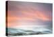 WInter Pastels-Lynne Douglas-Premier Image Canvas