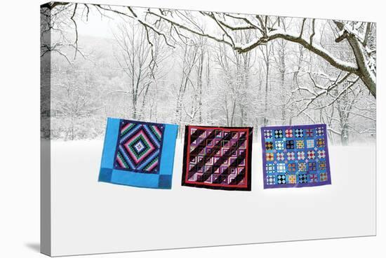 Winter Quilts-Bill Coleman-Stretched Canvas
