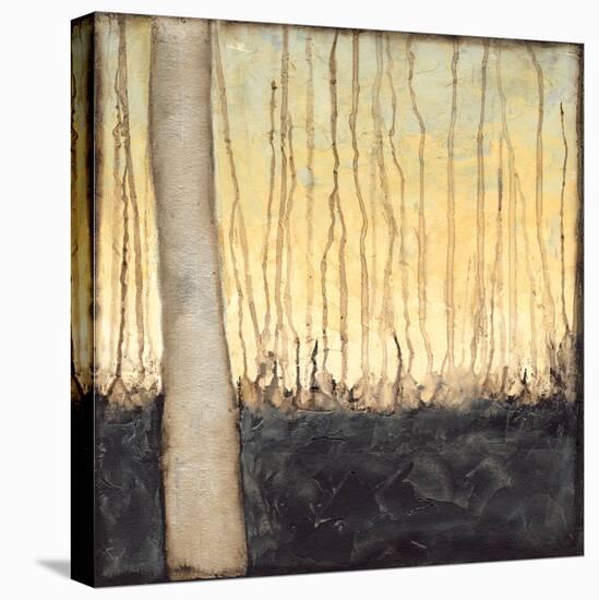 Winter Reverie IV-Jennifer Goldberger-Stretched Canvas