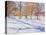 Winter, Richmond Park-Christopher Glanville-Premier Image Canvas